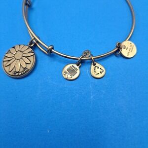 Alex And Ani "Cousin" Bronze‎ tone Expandable Bangle Bracelet 2013 Jewelry